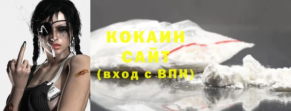 соль ск Осинники