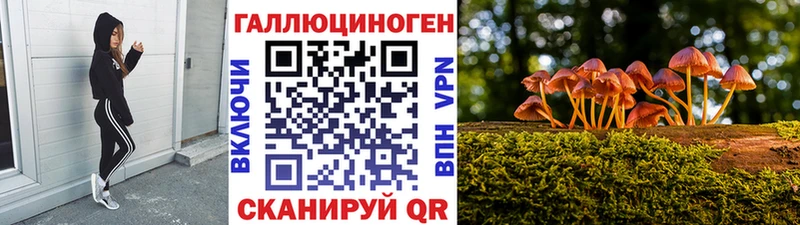 Галлюциногенные грибы Psilocybine cubensis  Белебей 