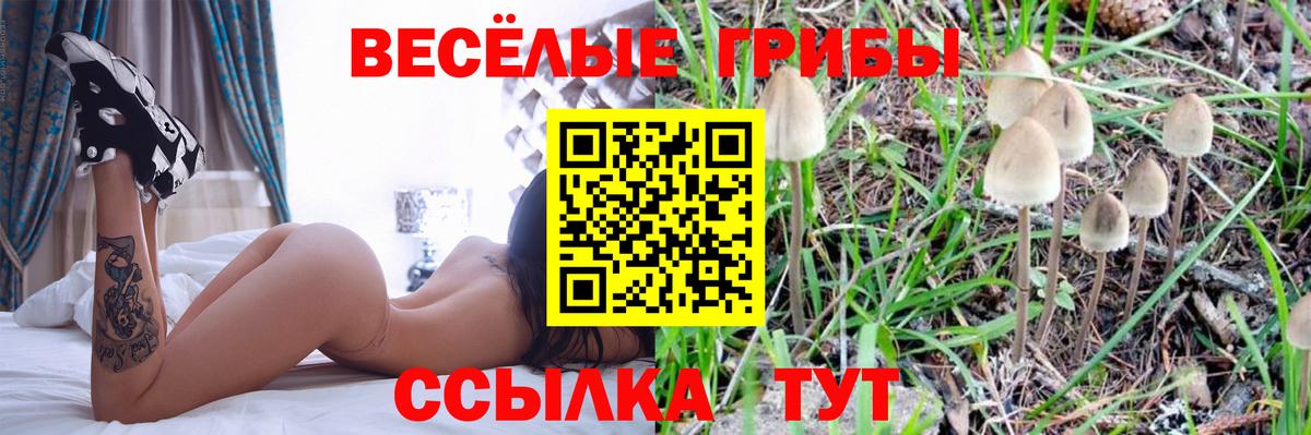 Галлюциногенные грибы Cubensis  Псилоцибиновые грибы Psilocybe  закладка  Белебей  Вход с VPN 