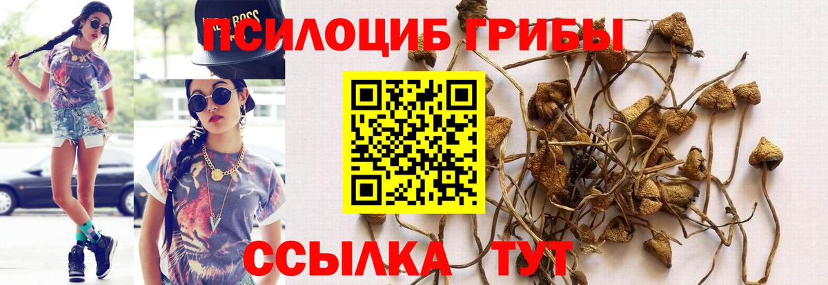 Псилоцибиновые грибы Psilocybine cubensis Белебей